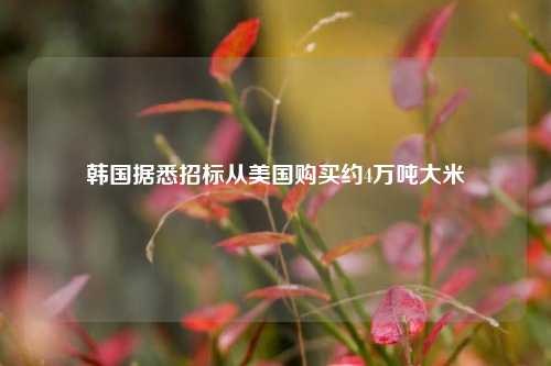 韩国据悉招标从美国购买约4万吨大米-第1张图片-车辆报废_报废车厂_报废汽车回收_北京报废车-「北京报废汽车解体中心」