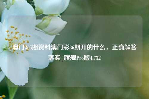 澳门365期资料澳门彩36期开的什么，正确解答落实_旗舰Pro版4.732-第1张图片-车辆报废_报废车厂_报废汽车回收_北京报废车-「北京报废汽车解体中心」