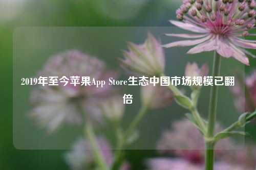 2019年至今苹果App Store生态中国市场规模已翻倍-第1张图片-车辆报废_报废车厂_报废汽车回收_北京报废车-「北京报废汽车解体中心」