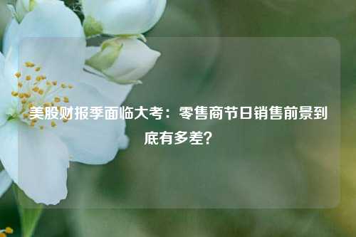 美股财报季面临大考：零售商节日销售前景到底有多差？-第1张图片-车辆报废_报废车厂_报废汽车回收_北京报废车-「北京报废汽车解体中心」