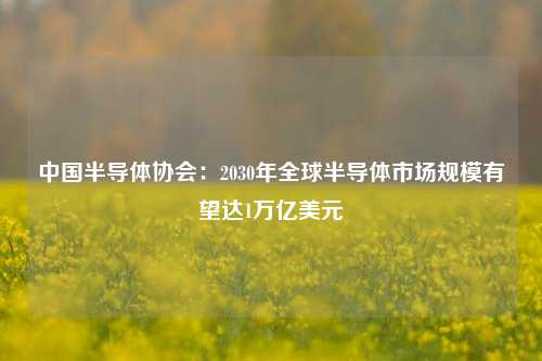 中国半导体协会：2030年全球半导体市场规模有望达1万亿美元-第1张图片-车辆报废_报废车厂_报废汽车回收_北京报废车-「北京报废汽车解体中心」