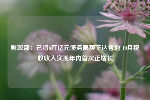 财政部：已将6万亿元债务限额下达各地 10月税收收入实现年内首次正增长-第1张图片-车辆报废_报废车厂_报废汽车回收_北京报废车-「北京报废汽车解体中心」