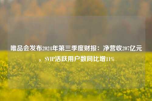 唯品会发布2024年第三季度财报：净营收207亿元，SVIP活跃用户数同比增11%-第1张图片-车辆报废_报废车厂_报废汽车回收_北京报废车-「北京报废汽车解体中心」