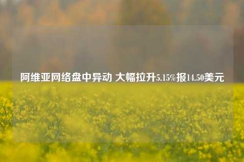 阿维亚网络盘中异动 大幅拉升5.15%报14.50美元-第1张图片-车辆报废_报废车厂_报废汽车回收_北京报废车-「北京报废汽车解体中心」