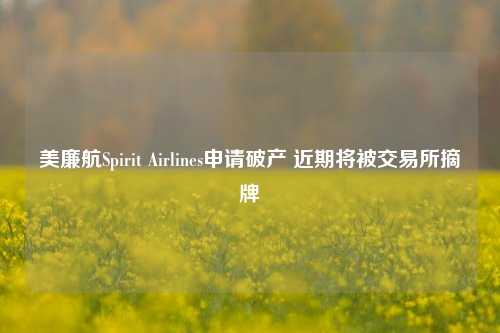 美廉航Spirit Airlines申请破产 近期将被交易所摘牌-第1张图片-车辆报废_报废车厂_报废汽车回收_北京报废车-「北京报废汽车解体中心」