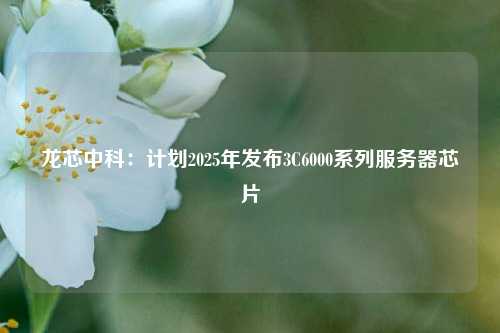 龙芯中科：计划2025年发布3C6000系列服务器芯片-第1张图片-车辆报废_报废车厂_报废汽车回收_北京报废车-「北京报废汽车解体中心」