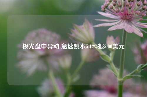 极光盘中异动 急速跳水5.12%报5.00美元-第1张图片-车辆报废_报废车厂_报废汽车回收_北京报废车-「北京报废汽车解体中心」