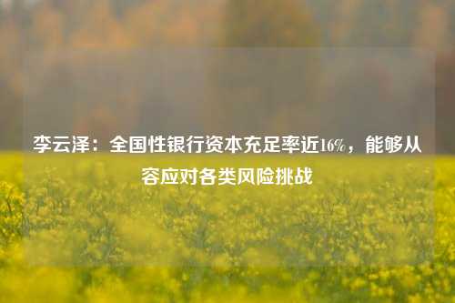 李云泽：全国性银行资本充足率近16%，能够从容应对各类风险挑战-第1张图片-车辆报废_报废车厂_报废汽车回收_北京报废车-「北京报废汽车解体中心」