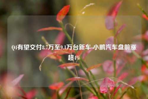 Q4有望交付8.7万至9.1万台新车 小鹏汽车盘前涨超4%-第1张图片-车辆报废_报废车厂_报废汽车回收_北京报废车-「北京报废汽车解体中心」