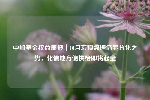 中加基金权益周报︱10月宏观数据仍显分化之势，化债地方债供给即将起量-第1张图片-车辆报废_报废车厂_报废汽车回收_北京报废车-「北京报废汽车解体中心」