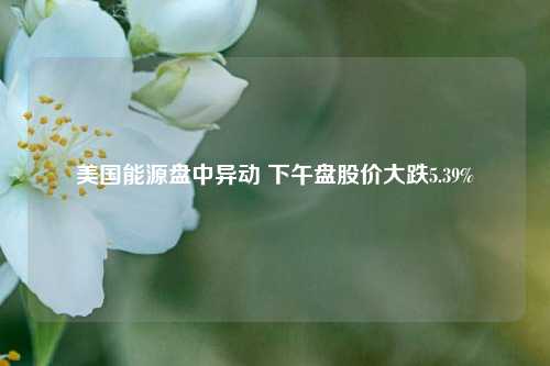 美国能源盘中异动 下午盘股价大跌5.39%-第1张图片-车辆报废_报废车厂_报废汽车回收_北京报废车-「北京报废汽车解体中心」