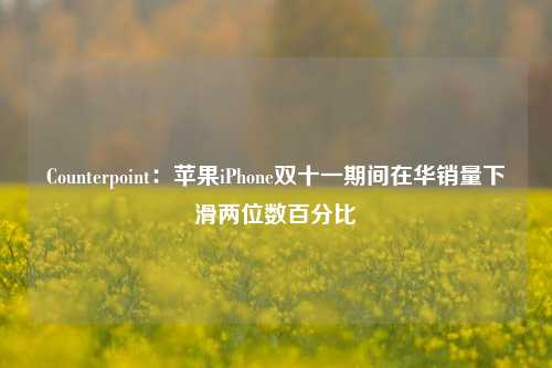 Counterpoint：苹果iPhone双十一期间在华销量下滑两位数百分比-第1张图片-车辆报废_报废车厂_报废汽车回收_北京报废车-「北京报废汽车解体中心」