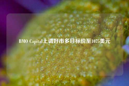 BMO Capital上调好市多目标价至1075美元-第1张图片-车辆报废_报废车厂_报废汽车回收_北京报废车-「北京报废汽车解体中心」