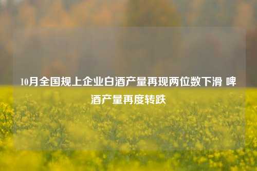 10月全国规上企业白酒产量再现两位数下滑 啤酒产量再度转跌-第1张图片-车辆报废_报废车厂_报废汽车回收_北京报废车-「北京报废汽车解体中心」