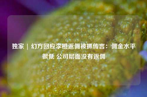 独家 | 幻方回应李橙返佣被抓传言：佣金水平很低 公司层面没有返佣-第1张图片-车辆报废_报废车厂_报废汽车回收_北京报废车-「北京报废汽车解体中心」