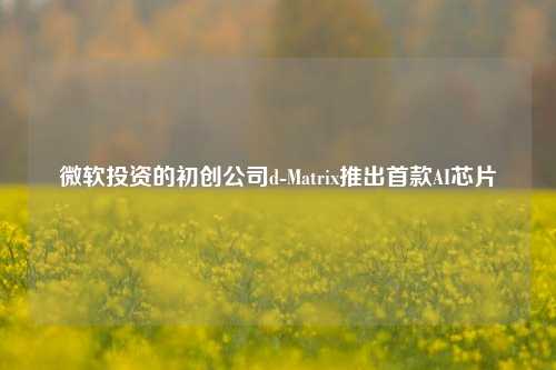 微软投资的初创公司d-Matrix推出首款AI芯片-第1张图片-车辆报废_报废车厂_报废汽车回收_北京报废车-「北京报废汽车解体中心」