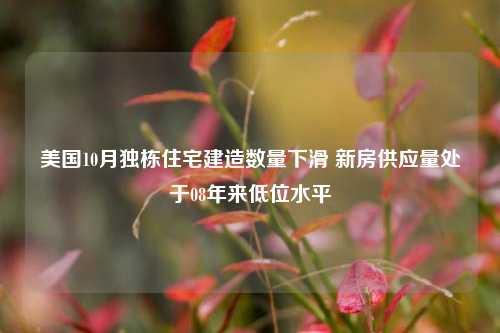 美国10月独栋住宅建造数量下滑 新房供应量处于08年来低位水平-第1张图片-车辆报废_报废车厂_报废汽车回收_北京报废车-「北京报废汽车解体中心」