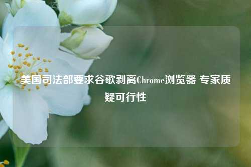 美国司法部要求谷歌剥离Chrome浏览器 专家质疑可行性-第1张图片-车辆报废_报废车厂_报废汽车回收_北京报废车-「北京报废汽车解体中心」