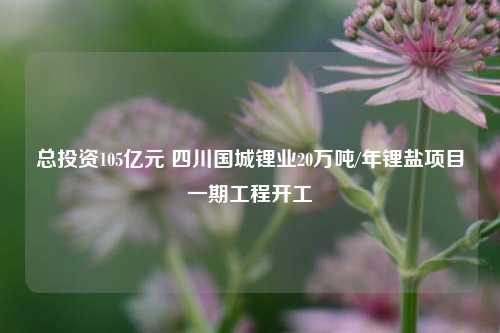 总投资105亿元 四川国城锂业20万吨/年锂盐项目一期工程开工-第1张图片-车辆报废_报废车厂_报废汽车回收_北京报废车-「北京报废汽车解体中心」