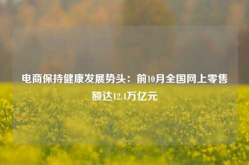 电商保持健康发展势头：前10月全国网上零售额达12.4万亿元-第1张图片-车辆报废_报废车厂_报废汽车回收_北京报废车-「北京报废汽车解体中心」