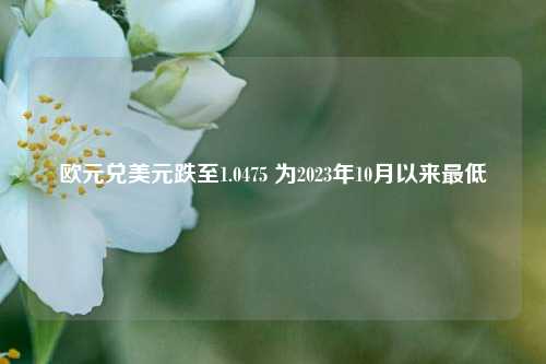 欧元兑美元跌至1.0475 为2023年10月以来最低-第1张图片-车辆报废_报废车厂_报废汽车回收_北京报废车-「北京报废汽车解体中心」