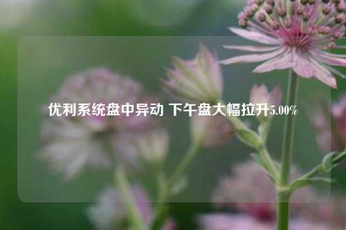 优利系统盘中异动 下午盘大幅拉升5.00%-第1张图片-车辆报废_报废车厂_报废汽车回收_北京报废车-「北京报废汽车解体中心」