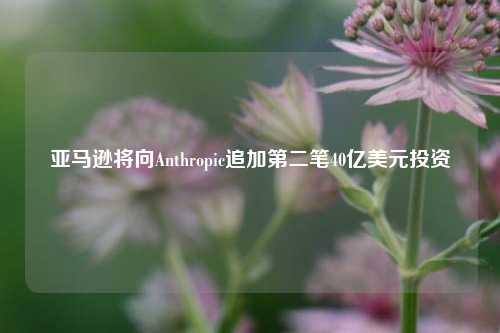 亚马逊将向Anthropic追加第二笔40亿美元投资-第1张图片-车辆报废_报废车厂_报废汽车回收_北京报废车-「北京报废汽车解体中心」