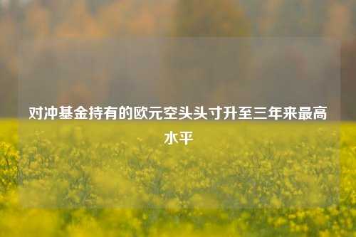 对冲基金持有的欧元空头头寸升至三年来最高水平-第1张图片-车辆报废_报废车厂_报废汽车回收_北京报废车-「北京报废汽车解体中心」