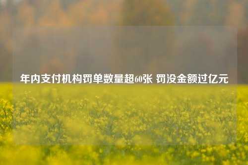 年内支付机构罚单数量超60张 罚没金额过亿元-第1张图片-车辆报废_报废车厂_报废汽车回收_北京报废车-「北京报废汽车解体中心」