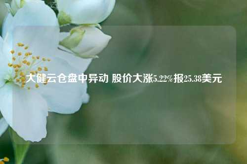 大健云仓盘中异动 股价大涨5.22%报25.38美元-第1张图片-车辆报废_报废车厂_报废汽车回收_北京报废车-「北京报废汽车解体中心」