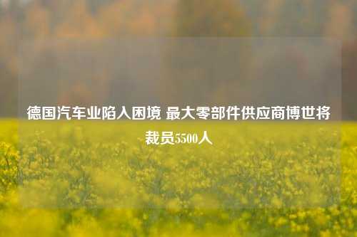 德国汽车业陷入困境 最大零部件供应商博世将裁员5500人-第1张图片-车辆报废_报废车厂_报废汽车回收_北京报废车-「北京报废汽车解体中心」