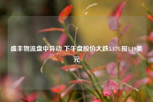 盛丰物流盘中异动 下午盘股价大跌5.17%报1.10美元-第1张图片-车辆报废_报废车厂_报废汽车回收_北京报废车-「北京报废汽车解体中心」