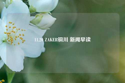 11.20 ZAKER铜川 新闻早读-第1张图片-车辆报废_报废车厂_报废汽车回收_北京报废车-「北京报废汽车解体中心」