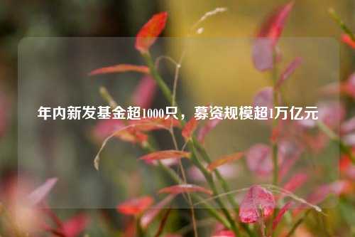 年内新发基金超1000只，募资规模超1万亿元-第1张图片-车辆报废_报废车厂_报废汽车回收_北京报废车-「北京报废汽车解体中心」