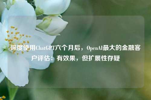 深度使用ChatGPT六个月后，OpenAI最大的金融客户评估：有效果，但扩展性存疑-第1张图片-车辆报废_报废车厂_报废汽车回收_北京报废车-「北京报废汽车解体中心」