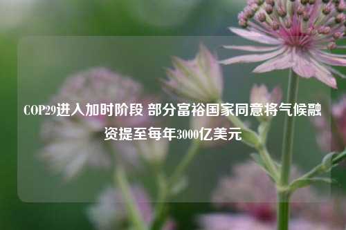 COP29进入加时阶段 部分富裕国家同意将气候融资提至每年3000亿美元-第1张图片-车辆报废_报废车厂_报废汽车回收_北京报废车-「北京报废汽车解体中心」