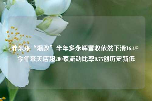 胖东来“爆改”半年多永辉营收依然下滑16.4% 今年来关店超200家流动比率0.75创历史新低-第1张图片-车辆报废_报废车厂_报废汽车回收_北京报废车-「北京报废汽车解体中心」