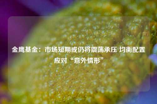 金鹰基金：市场短期或仍将震荡承压 均衡配置应对“意外情形”-第1张图片-车辆报废_报废车厂_报废汽车回收_北京报废车-「北京报废汽车解体中心」