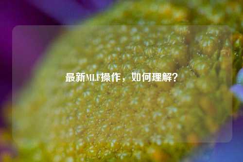 最新MLF操作，如何理解？-第1张图片-车辆报废_报废车厂_报废汽车回收_北京报废车-「北京报废汽车解体中心」