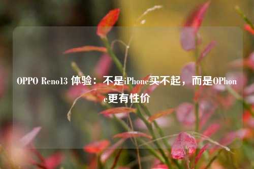 OPPO Reno13 体验：不是iPhone买不起，而是OPhone更有性价-第1张图片-车辆报废_报废车厂_报废汽车回收_北京报废车-「北京报废汽车解体中心」