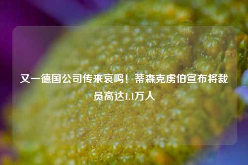 又一德国公司传来哀鸣！蒂森克虏伯宣布将裁员高达1.1万人-第1张图片-车辆报废_报废车厂_报废汽车回收_北京报废车-「北京报废汽车解体中心」