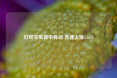 叮咚买菜盘中异动 急速上涨5.53%-第1张图片-车辆报废_报废车厂_报废汽车回收_北京报废车-「北京报废汽车解体中心」