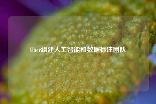 Uber组建人工智能和数据标注团队-第1张图片-车辆报废_报废车厂_报废汽车回收_北京报废车-「北京报废汽车解体中心」