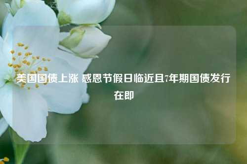 美国国债上涨 感恩节假日临近且7年期国债发行在即-第1张图片-车辆报废_报废车厂_报废汽车回收_北京报废车-「北京报废汽车解体中心」