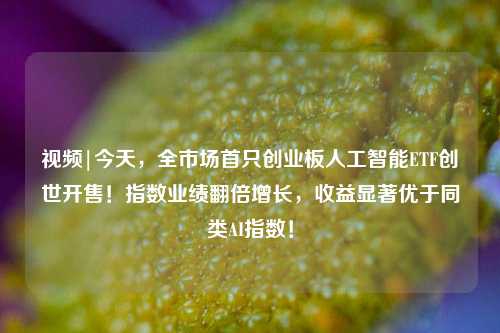 视频|今天，全市场首只创业板人工智能ETF创世开售！指数业绩翻倍增长，收益显著优于同类AI指数！-第1张图片-车辆报废_报废车厂_报废汽车回收_北京报废车-「北京报废汽车解体中心」