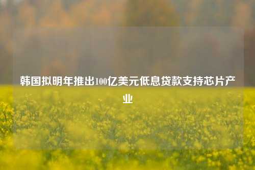 韩国拟明年推出100亿美元低息贷款支持芯片产业-第1张图片-车辆报废_报废车厂_报废汽车回收_北京报废车-「北京报废汽车解体中心」