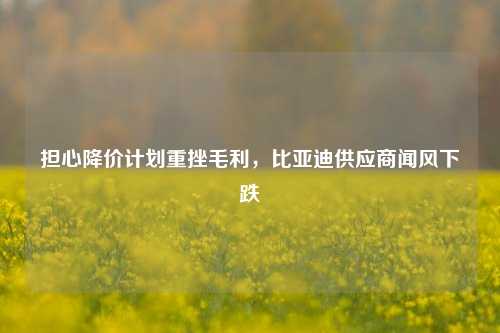 担心降价计划重挫毛利，比亚迪供应商闻风下跌-第1张图片-车辆报废_报废车厂_报废汽车回收_北京报废车-「北京报废汽车解体中心」