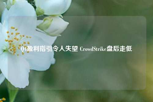 Q4盈利指引令人失望 CrowdStrike盘后走低-第1张图片-车辆报废_报废车厂_报废汽车回收_北京报废车-「北京报废汽车解体中心」