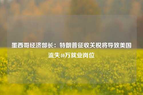 墨西哥经济部长：特朗普征收关税将导致美国流失40万就业岗位-第1张图片-车辆报废_报废车厂_报废汽车回收_北京报废车-「北京报废汽车解体中心」