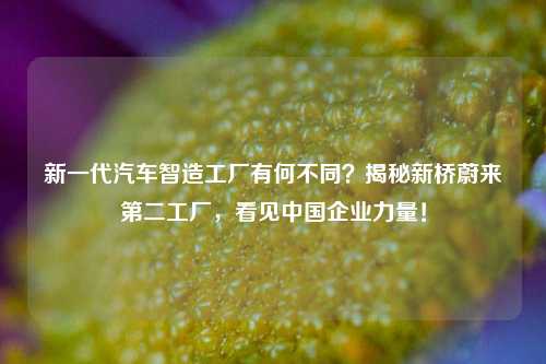 新一代汽车智造工厂有何不同？揭秘新桥蔚来第二工厂，看见中国企业力量！-第1张图片-车辆报废_报废车厂_报废汽车回收_北京报废车-「北京报废汽车解体中心」